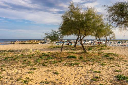 two trees on a beach with the ocean in the background at Andrew'S home - Playita in Torre Pali 
