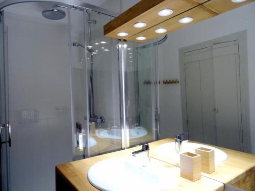 a bathroom with a shower and a sink and a mirror at La Maison de Pierre in Flavigny-sur-Ozerain
