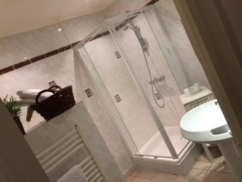 ブイヨンにあるHotel Restaurant Le Cosyのバスルーム(シャワー、トイレ、洗面台付)
