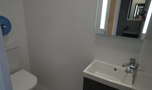ein Badezimmer mit einem Waschbecken, einem WC und einem Spiegel in der Unterkunft Aran Islands Camping & Glamping in Kilronan