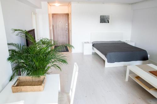 a bedroom with a bed and a table with a plant at Airport Residence - 5 Mins from Airport in Otopeni