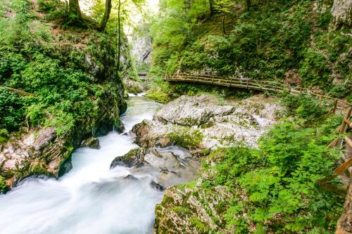 a river in the middle of a canyon with trees at Goldenfields apartment in Kranj