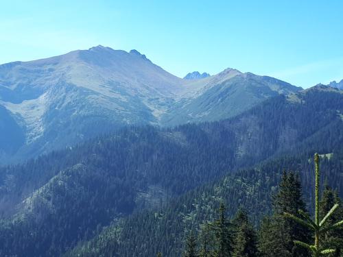Gallery image of Rodinný penzion Ždiaran in Ždiar