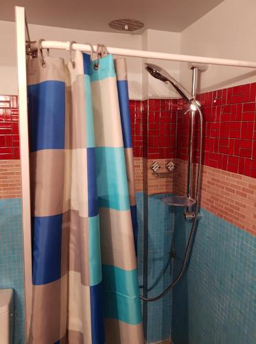 y baño con ducha y cortina de ducha. en Les volets rouges, en Châteauneuf-du-Pape