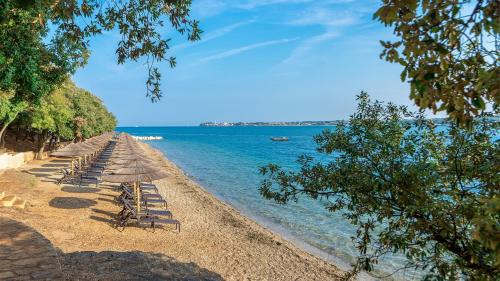 a row of chairs on a beach next to the water at Valamar Tamaris Resort in Tar