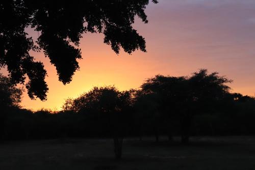 a sunset with a group of trees in a field at Yala Dream Park in Yala