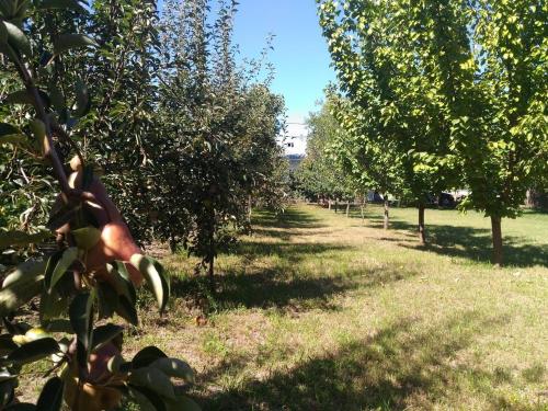 Edelweiss guesthouse, glamping and campingにある庭