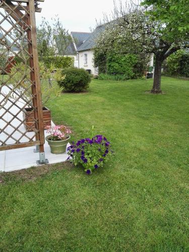 a garden with a bunch of flowers in the grass at Le Hameau du moulin a vent in Saint-Avertin