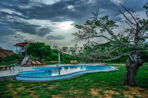 a swimming pool in a yard with a tree at Lake Villa Resort in Tissamaharama