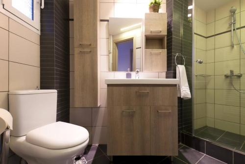 a bathroom with a toilet and a sink and a shower at TONI'S 2BD Modern flat in Koukaki near Acropoli in Athens