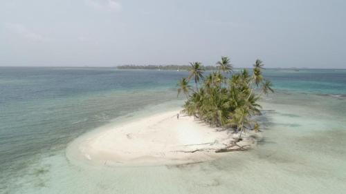 an island in the ocean with palm trees on it at Play to Live San Blas in El Porvenir