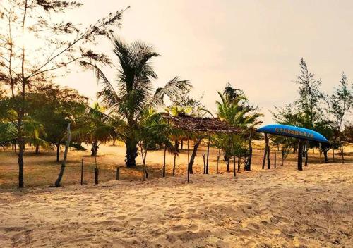 a beach with palm trees and blue umbrellas on it at Ganesh Gate in Pottuvil
