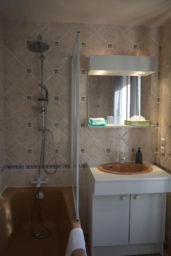 a bathroom with a sink and a shower with a shower at Chambres et table d’hôtes le Barret in Beauzac