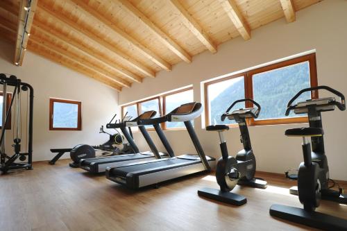 Fitness centrum a/nebo fitness zařízení v ubytování Hotel Traube