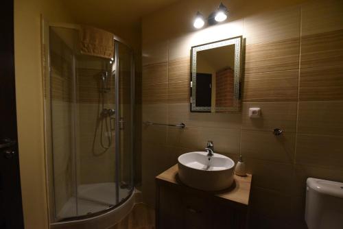 a bathroom with a sink and a shower and a mirror at Cheetah Holiday Club in Vizovice