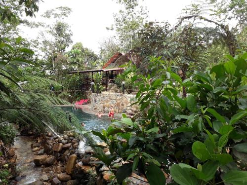 a group of people in a pool at a resort at Finca de la Vaca - Family House in Mera