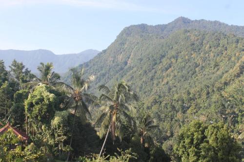 a view of a mountain with palm trees at Mandhasativa Homestay in Singaraja