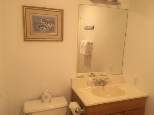 Bilik mandi di Ocean Cove Motel