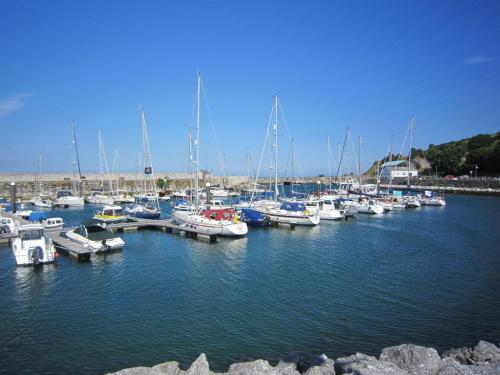 a bunch of boats are docked in a harbor at The Lookout, Glenarm in Glenarm