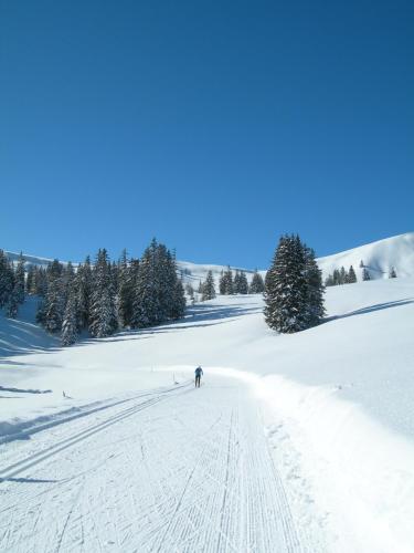 a person skiing down a snow covered slope at Hotel Crystal Interlaken in Interlaken