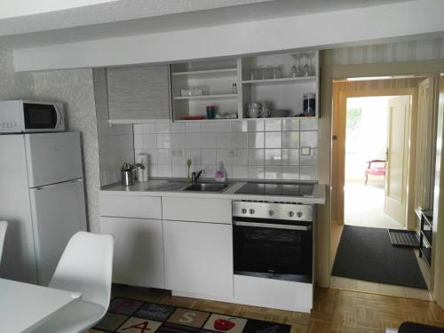 eine Küche mit einer Spüle, einem Herd und einem Kühlschrank in der Unterkunft NiJole Apartment in Winterberg