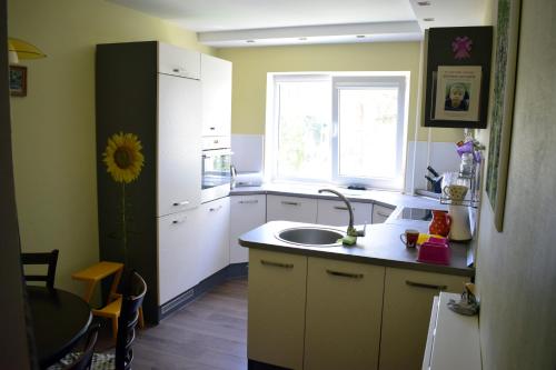 eine Küche mit einem Waschbecken und einem Fenster in der Unterkunft Butterfly Apartment in Visaginas