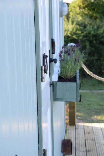 Shepherds Hut with Hot Tubにある庭