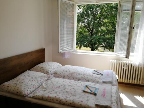a bed in a bedroom with a window at Apartment Mora in Mariánské Lázně
