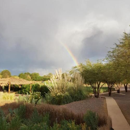 a rainbow in the sky over a garden with trees at Lodge Altitud in San Pedro de Atacama