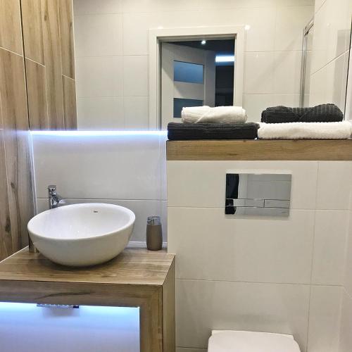 a bathroom with a bowl sink and a mirror at Pure Apartment in Toruń