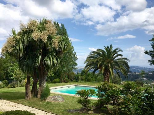 a swimming pool in a yard with two palm trees at Casal do Arcebispado in Felgueiras