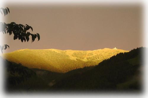 a view of a mountain with trees in the foreground at Panoramapension Lerchner in Bad Kleinkirchheim