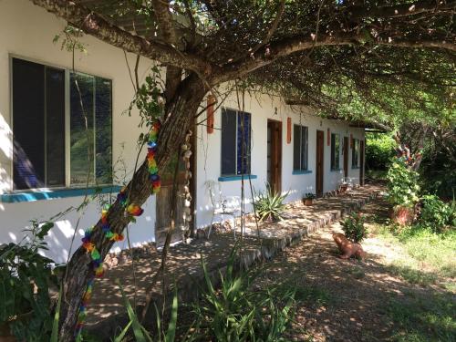 a house with a tree in front of it at Galerazambahostal in Galerazamba