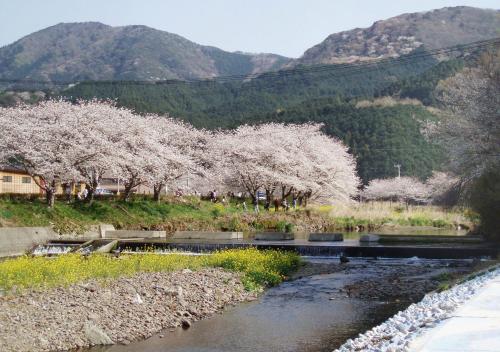a river with white trees in a field with mountains at Nishiizu Matsuzaki Itoen Hotel in Matsuzaki