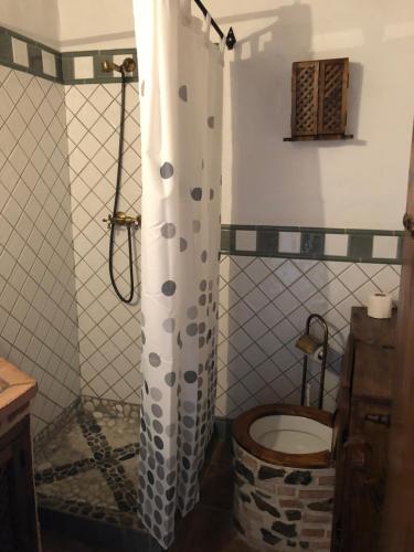 a shower curtain in a bathroom with a toilet at Hotel Posada del Bandolero in Borge