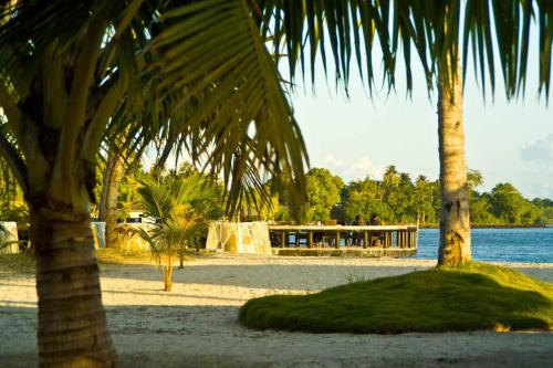 a view of a beach with palm trees and a building at Coconuts Beach Club Resort and Spa in Fausaga