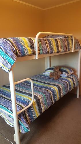 Piopio的住宿－Carmel Farmstay，宿舍间的两张双层床位,座位上配有泰迪熊