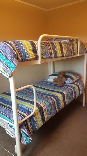 two bunk beds in a room with a teddy bear on the seat at Carmel Farmstay in Piopio