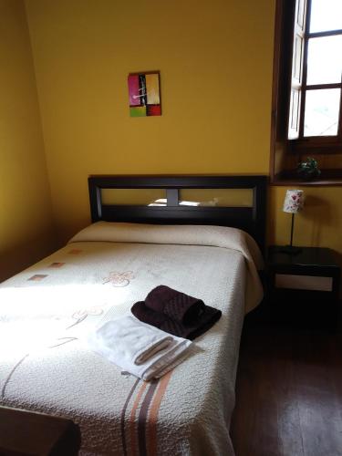 ポラ・デ・ソミエドにあるAparatamento Rural El Oso 3のベッドルーム1室(タオル付)