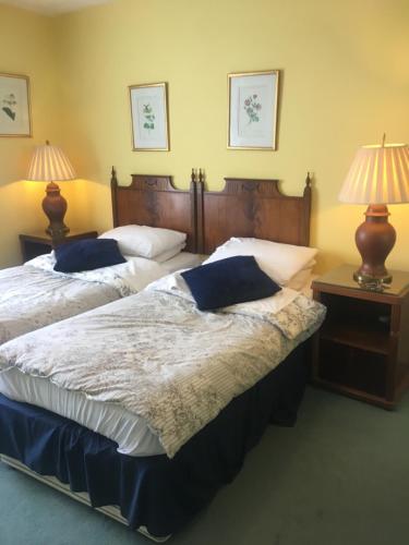 duas camas num quarto com duas lâmpadas nas mesas em Dukes Head Inn em Richmond upon Thames