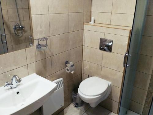 a bathroom with a toilet and a sink at Rodinný wellness hotel U Langrů in Dolní Věstonice