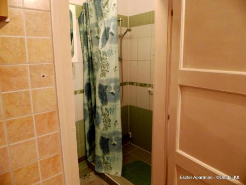 A bathroom at Eszter Apartman