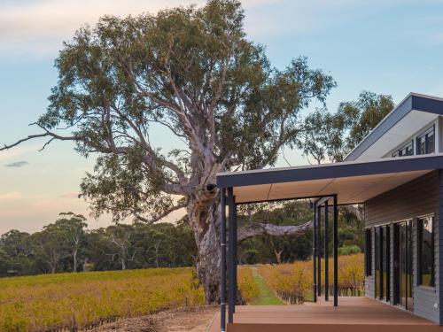 a house with a tree in front of it at Shadow Creek McLaren Vale in McLaren Vale