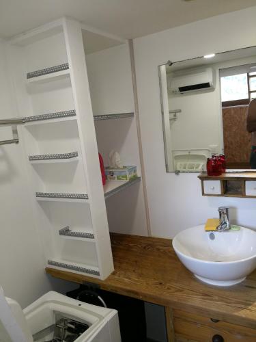 a bathroom with a sink and a mirror at A Cantina Chalet avec Piscine proche d Ajaccio in Carbuccia