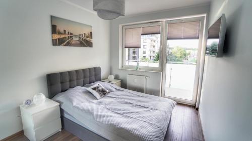 ein kleines Schlafzimmer mit einem Bett und zwei Fenstern in der Unterkunft Apartamenty GLOBAL BLIŻEJ MORZA 16/60 Kołobrzeg in Kołobrzeg