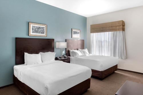 大斯普林的住宿－Sleep Inn，酒店客房设有两张床和窗户。