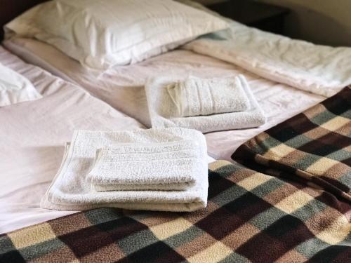 Postel nebo postele na pokoji v ubytování Guest House Svan-Ski