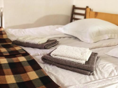 Postel nebo postele na pokoji v ubytování Guest House Svan-Ski