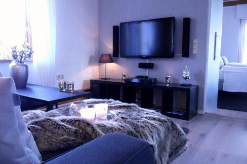 Il comprend un salon doté d'un canapé et d'une télévision à écran plat. dans l'établissement Die Mühle Appartements, à Samtens