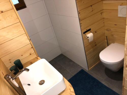 a bathroom with a white sink and a toilet at Chalet de charme, le "Caribou Lodge", Eifel belge in Bullange